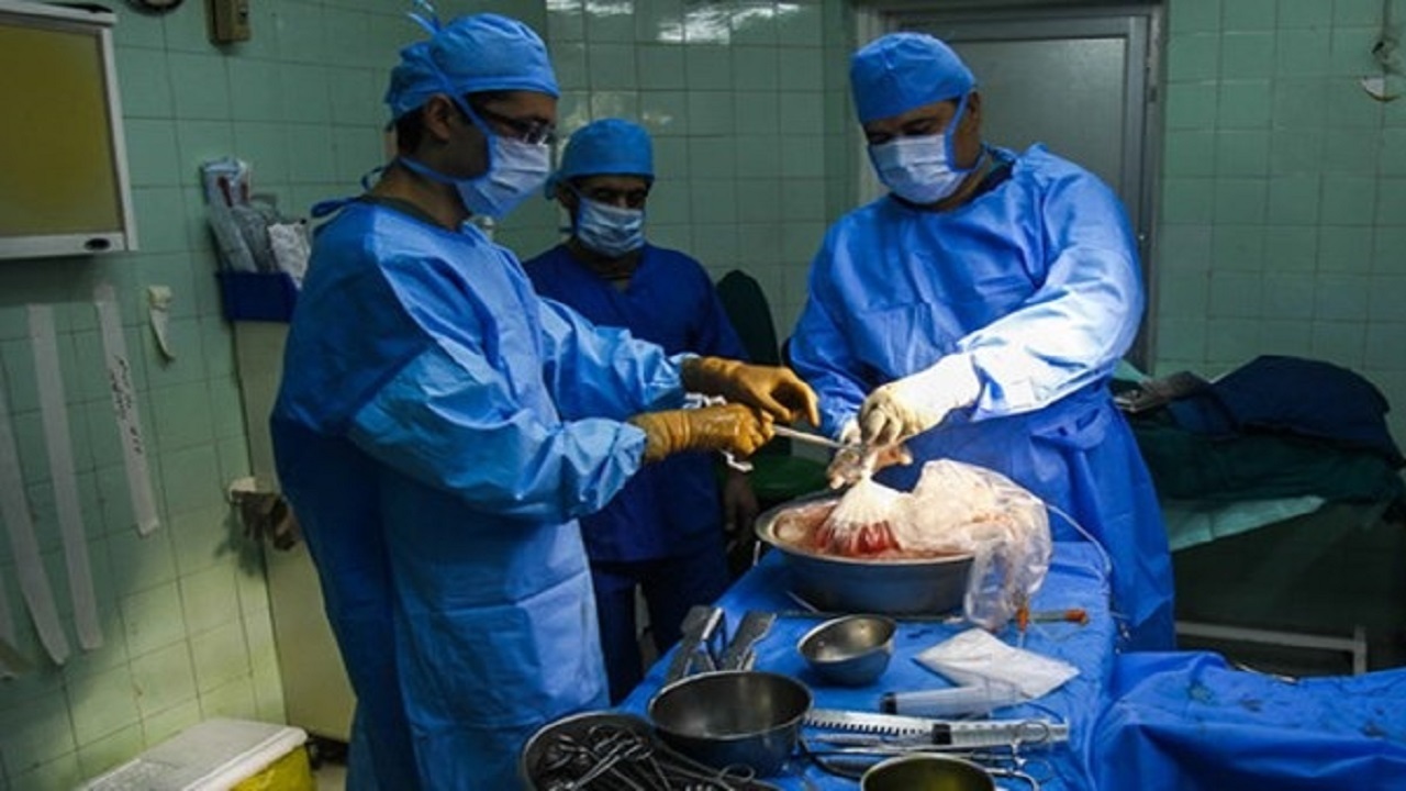 هشتمین اهدای عضو ماندگار سال ۱۴۰۴ استان قم انجام شد